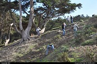 Photo by elki | San Francisco  coastal trail, volunteer